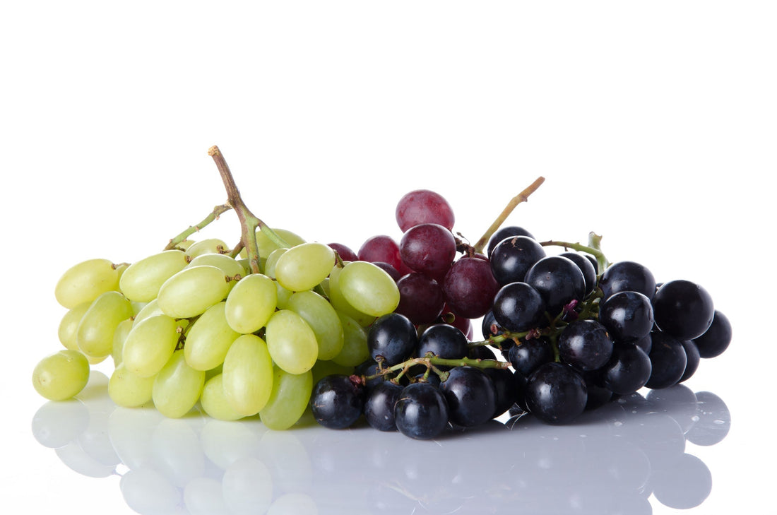What Are Polyphenols and Why Do They Matter?