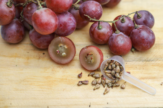 Grape Seed Extract for Ringing in the Ears: Pharmacokinetics, Bioavailability, and Auditory Health Support