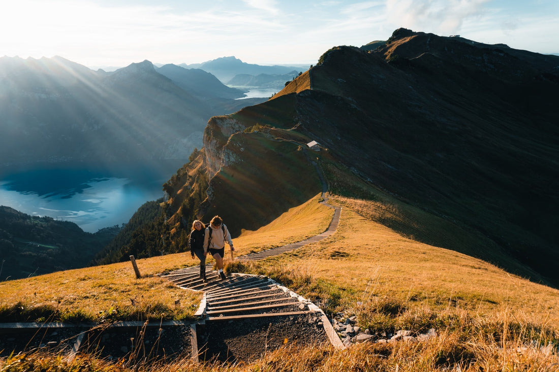 Tinnitus Supplement for Ringing in the Ears: Why No One Product Works for Everyone and How Tinnigone Supports Auditory Health