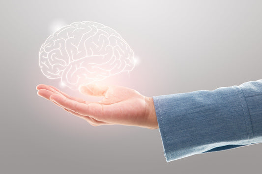 The Role of R-Alpha Lipoic Acid, Grape Seed Extract, and Vitamin D in Brain and Ear Wellness