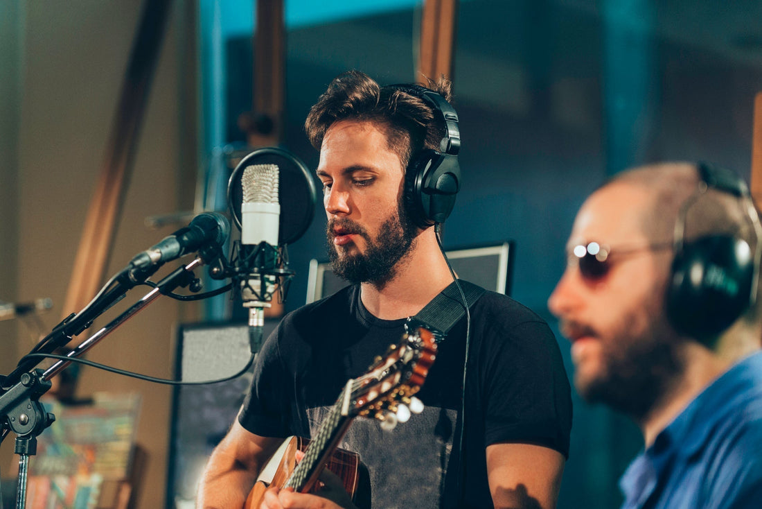 Musicians, Tinnitus  and Hearing Health: What Research Says About Antioxidants