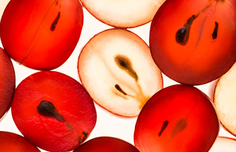 Grape Seed Extract